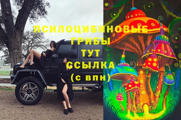 спиды Новозыбков