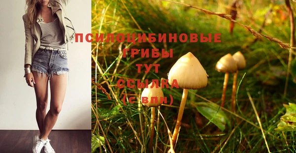 jwh Новодвинск
