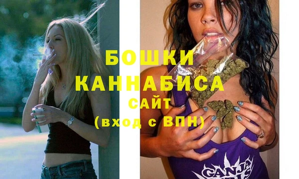 спиды Новозыбков