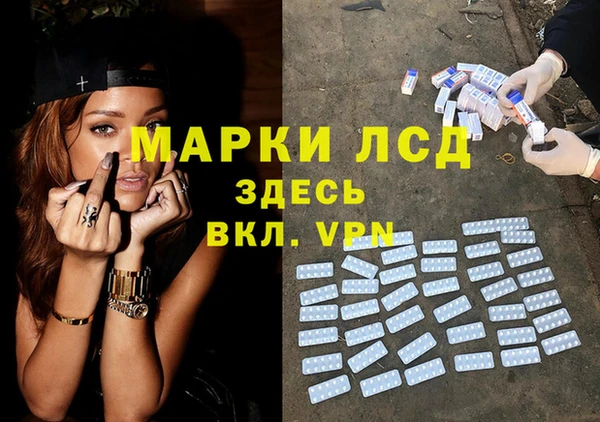 спиды Новозыбков