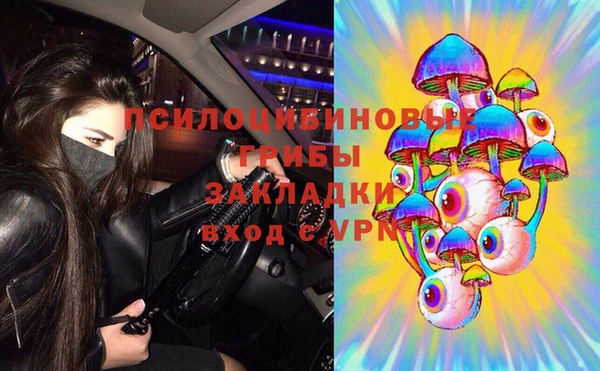 спиды Новозыбков