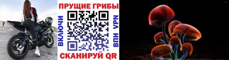 Псилоцибиновые грибы мухоморы  Невельск 